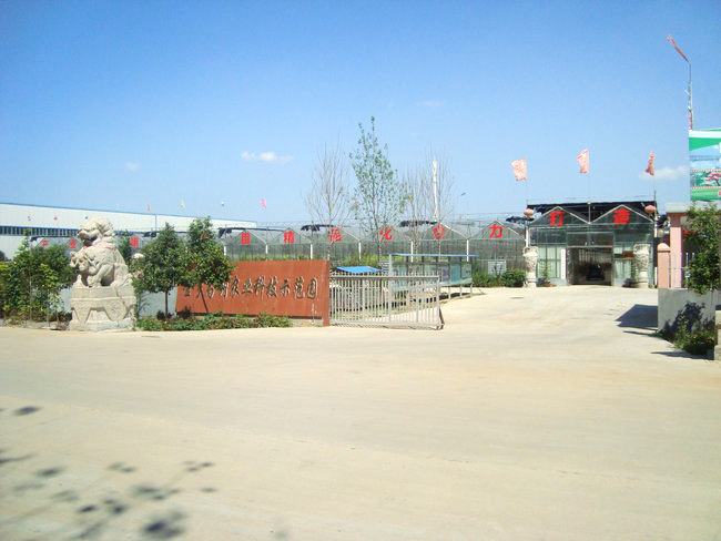 廠(chǎng)區(qū)廠(chǎng)房02